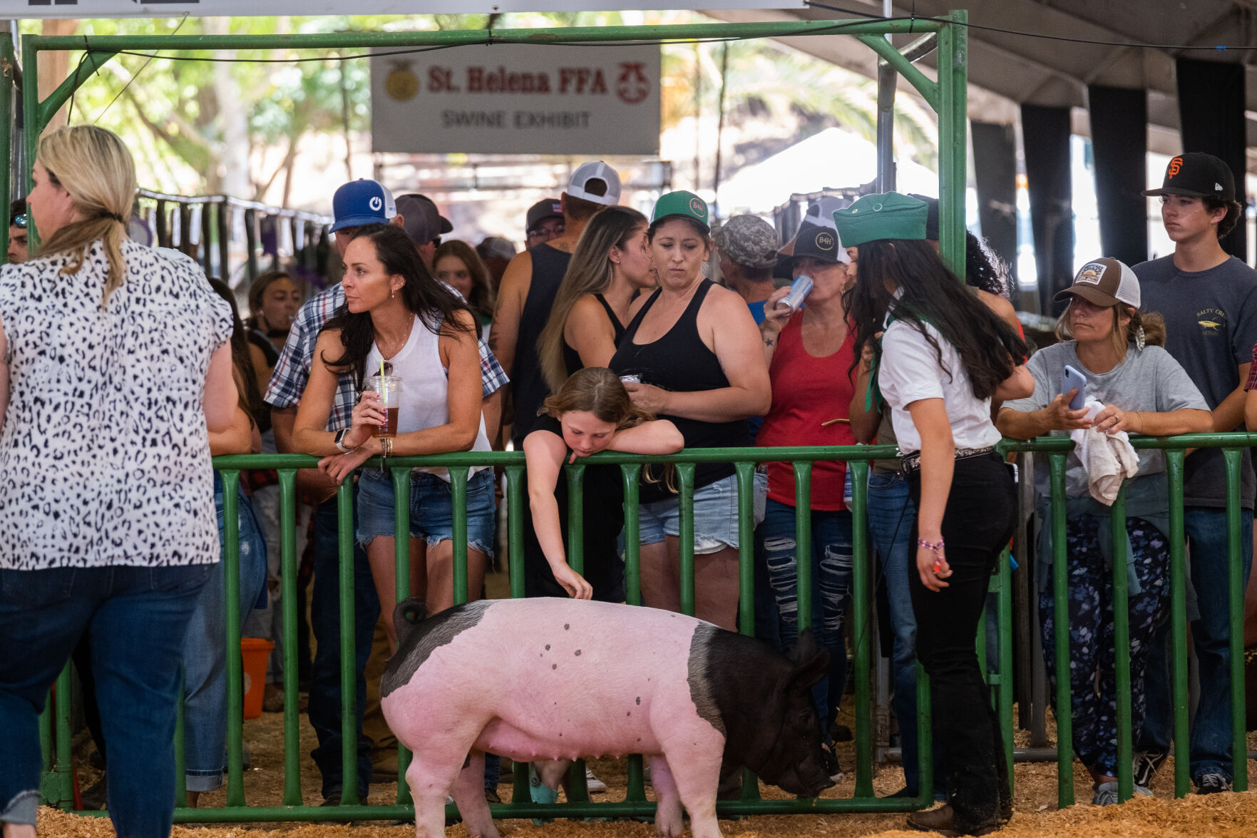 4-H at the Fair